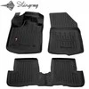 Stingray Guminiai kilimėliai DACIA Lodgy 2012-2022m.