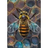 Abris Art Karoliukų siuvinėjimo rinkinys „Medus“ 27x38 cm AAB-950