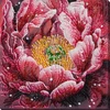 Abris Art Karoliukų siuvinėjimo rinkinys „Rasos bučinys“ 23x23 cm AAB-951