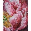 Abris Art Karoliukų siuvinėjimo rinkinys „Rasos bučinys“ 23x23 cm AAB-951
