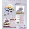 Abris Art Karoliukų siuvinėjimo rinkinys „Levandų aromatas“ su rėmeliu