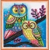 Abris Art Mini karoliukų siuvinėjimo rinkinys „Naktinė pora“ 15x15 cm