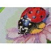 Abris Art Siuvinėjimo kryželiu rinkinys su lankeliu „Sunny Bedryk“ 17x17 cm