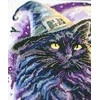 Abris Art Siuvinėjimo kryželiu rinkinys „Magijos šešėliai“ 20x20 cm AAH-306