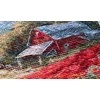 Abris Art Siuvinėjimo kryželiu rinkinys „Aguonos saulėlydyje“ 30x19 cm