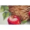 Abris Art Siuvinėjimo kryželiu rinkinys „Obuolių gausa“ 23x22 cm AAH-250