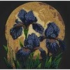 Abris Art Vidutinio dydžio karoliukų siuvinėjimo rinkinys „Šokis auksinėje šviesoje“ 20x20
