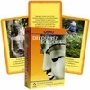 Agm Osho Decouvrez Bouddha French Edition Kortos