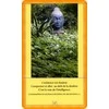 Agm Osho Decouvrez Bouddha French Edition Kortos