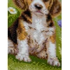 Aine Siuvinėjimo kryželiu rinkinys „Meadow Pup“ – bigliukas pievoje, 20 x 20 cm