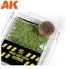 AK Interactive beržo šviesiai žali lapai 28mm / 1:72, 7 g