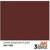 AK Interactive Dark Shadow Flesh akriliniai dažai figūrėlėms 17ml