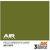 AK Interactive Field Žalias FS34097 akriliniai dažai lėktuvams 17 ml
