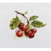 Alisa Beldizart Cherry S0-140