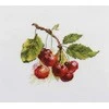 Alisa Beldizart Cherry S0-140