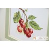 Alisa Beldizart Cherry S0-140