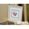 Alisa Beldizart Cherry S0-140
