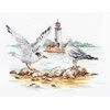 Alisa Beldizart Seagulls S3-30
