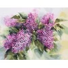Alisa Beldizart Akvarelės Sylas S2-45