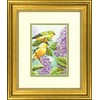 DIMENSIONS Groves Of Thame Goldfinch ir alyvos D70-65153