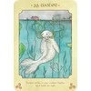 Rockpool Anamchara Oracle Kortos