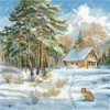 Andriana Kryželių siuvinėjimo rinkinys „Šaltis ir saulė“, 19×19 cm