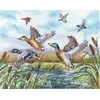 Andriana Kryželiu siuvinėjimo rinkinys „Skrendantys ančiukai“, 25,5×19,5 cm