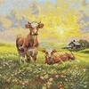 Andriana Siuvinėjimo kryželiu rinkinys „Pievoje“ 18,5x20 cm SANN-39