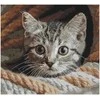 Andriana Siuvinėjimo kryželiu rinkinys „Šnipas“ 25,5x23 cm SANU-10