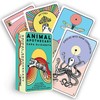 Hay House Animal Apothecary Oracle Kortos