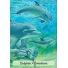 Animal Dreaming Enchanted Animal Oracle Kortos