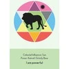 Animal Dreaming Enchanted Animal Oracle Kortos