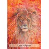Animal Dreaming Enchanted Animal Oracle Kortos