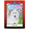 Animal Dreaming Faery Magic Message Kortos