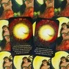 From Grief To Goddess Kortos Animal Dreaming