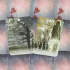 Animal Dreaming Mediumship Cards - Heartfelt Messages From Spirit Kortos