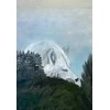 Animal Dreaming Spirit Dreaming sielos vedimo oracle kortos, 40 kortų