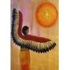 Animal Dreaming Spirit Dreaming sielos vedimo oracle kortos, 40 kortų