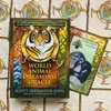 World Animal Dreaming Oracle Kortos