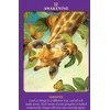 Hay House Animal Guides Tarot Kortos
