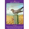 Hay House Animal Guides Tarot Kortos