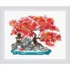 Riolis Rudens bonsai 30x24 SR2044