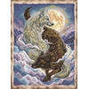 Ava Stitch Siuvinėjimo kryželiu rinkinys „Šviesa ir šešėlis“ 23,7 × 31,8 cm