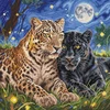 Ava Stitch Siuvinėjimo kryželiu rinkinys „Kačių naktis“, Aida 16 ct, 31,75×31,75 cm