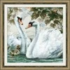 Baltas Swans siuvinėjimo rinkinys iš RIOLIS Nr.: 1726