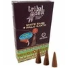 Hari Darshan Atbulinio smilkymo kūginiai smilkalai Baltas Sage Palo Santo, Tribal Soul, 15g