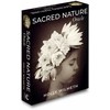 Beyond Words Sacred Nature Oracle kortos