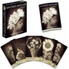 KNYGA Beyond Words Sacred Nature Oracle kortos