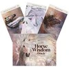 Blue Angel Mėlyna Angel Mėlyna Angel Horse Wisdom Oracle Kortos