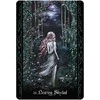 Blue Angel Mėlyna Angel Mėlyna Angel The Solitary Witch Oracle Kortos